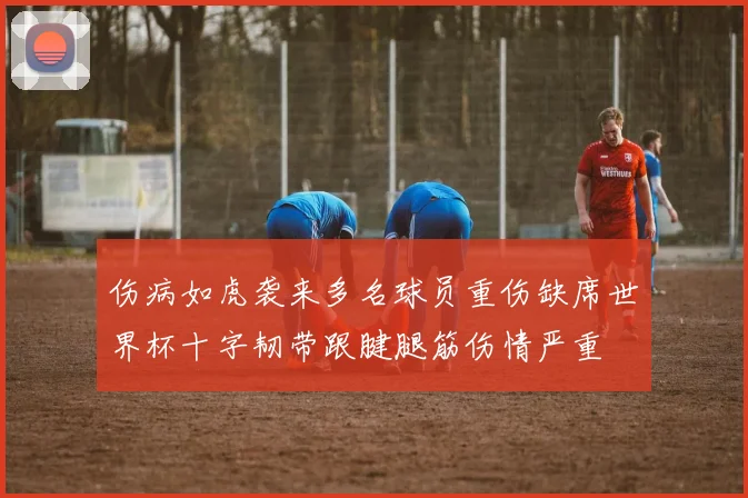 伤病如虎袭来多名球员重伤缺席世界杯十字韧带跟腱腿筋伤情严重
